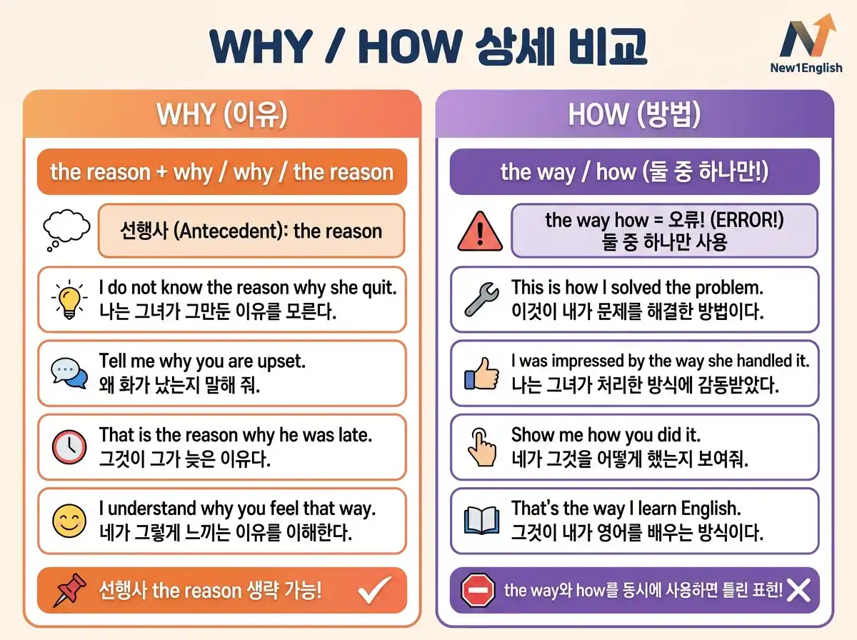 WHY/HOW 관계부사 상세 가이드 — why(for which 대체, the reason 선행사) + how(생략 규칙, the way와 함께 사용 불가) + 예문