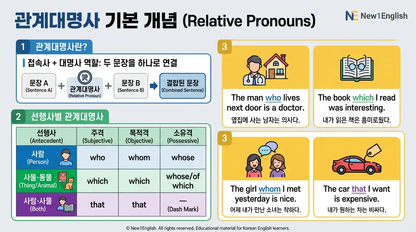 관계대명사 기본 개념 차트 — 선행사(사람/사물)별 who/whom/whose/which/that 선택표 + 접속사+대명사 역할 다이어그램