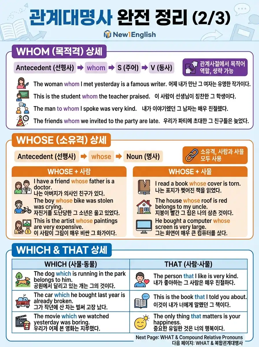 관계대명사 완전 정리 2/3 — whose/which/that 상세 + 생략 규칙