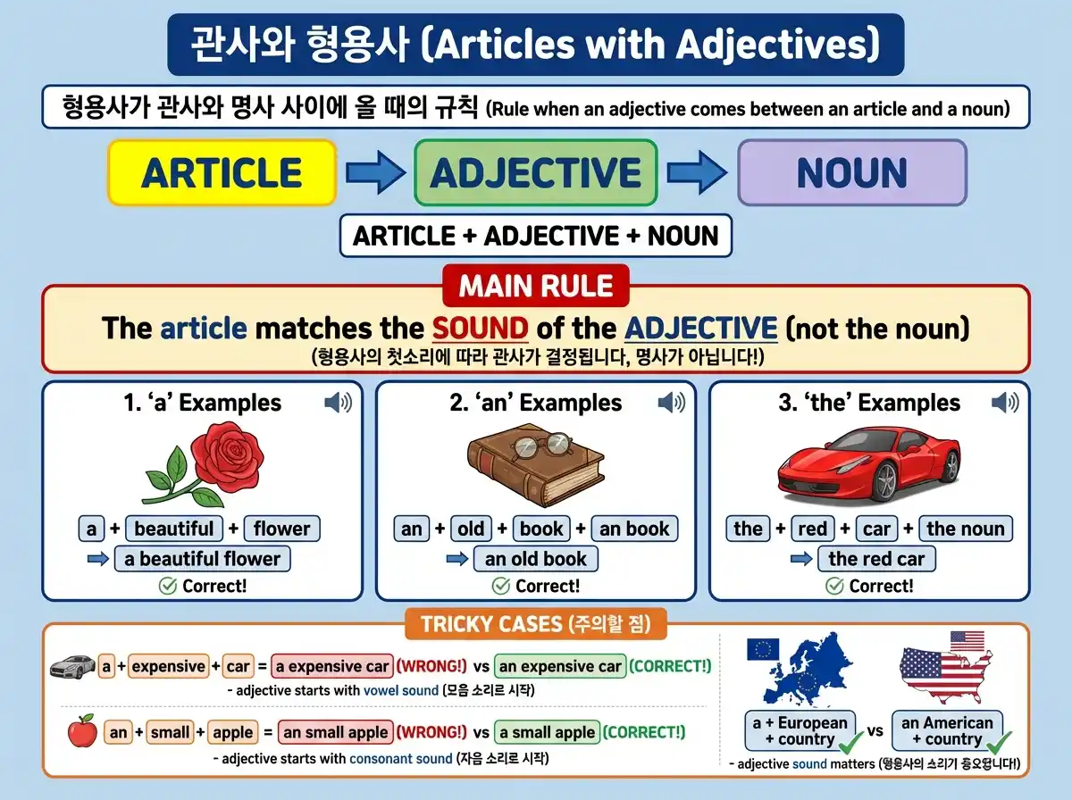 관사와 형용사 — ARTICLE + ADJECTIVE + NOUN 규칙