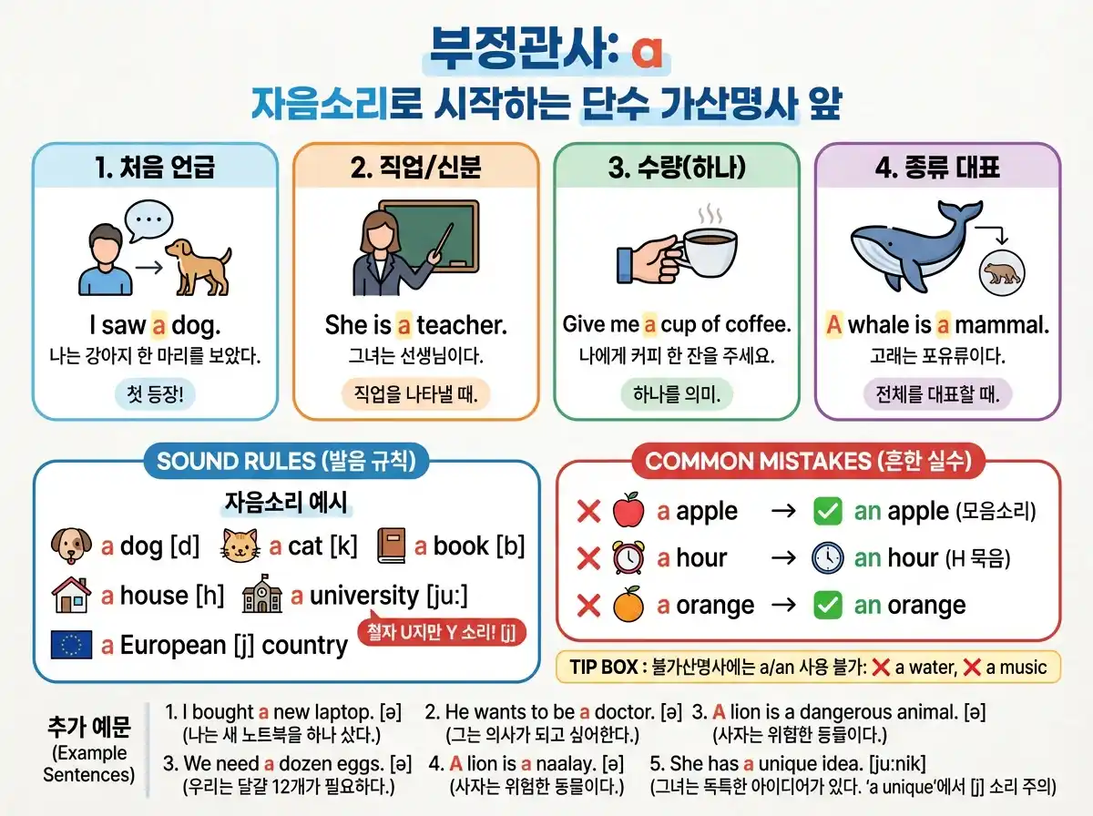 부정관사 a — 자음 소리 앞, 4가지 상황