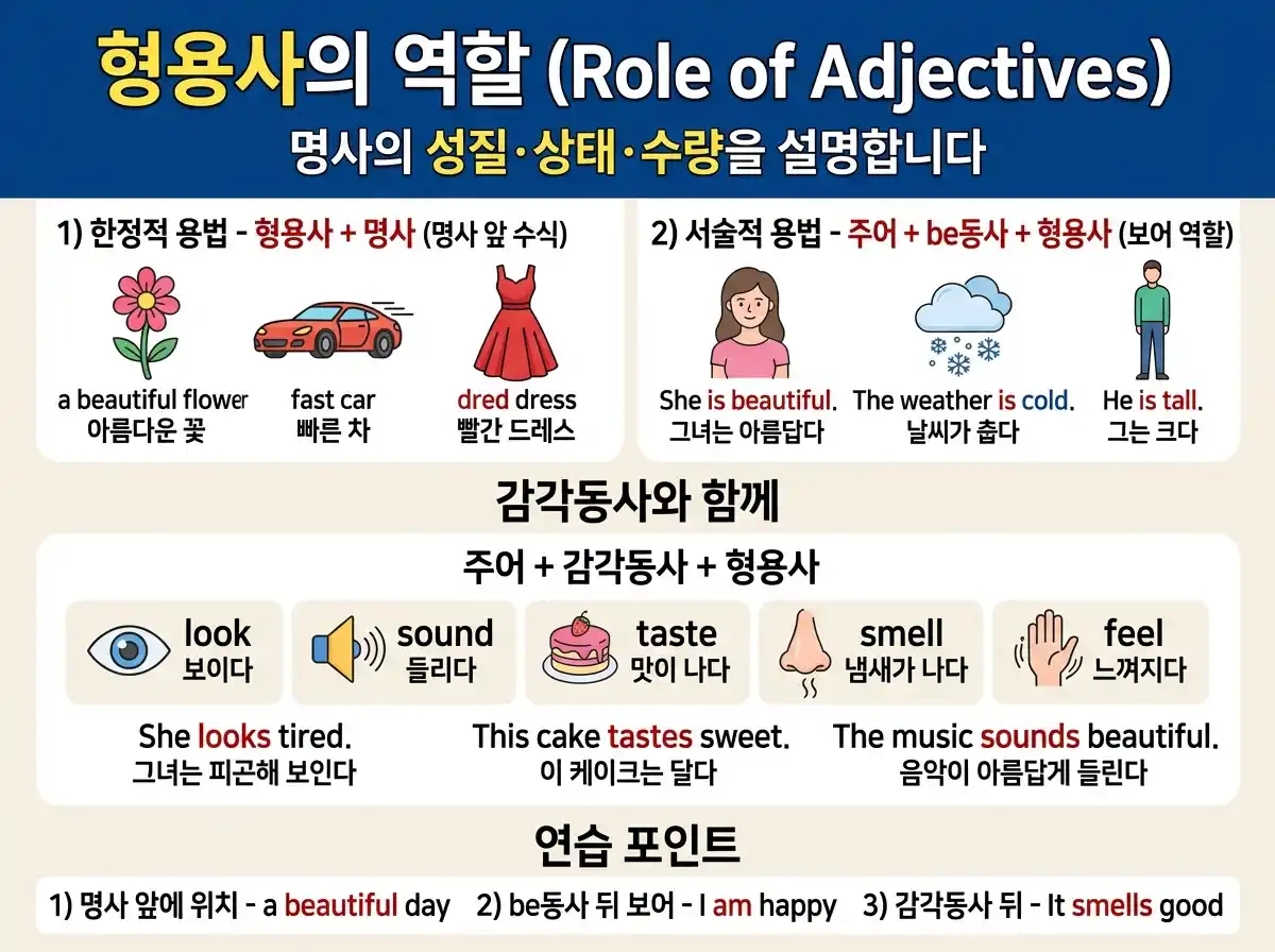 형용사의 역할 (Role of Adjectives) — 한정적 용법·서술적 용법·감각동사와 함께 쓰이는 형용사