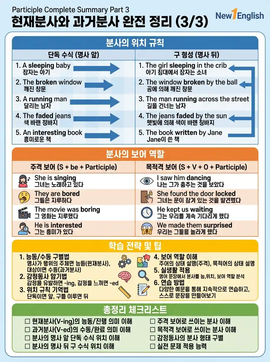 분사 완전 정리 3/3 — 위치 규칙 + 보어 역할 + 학습 전략 5가지