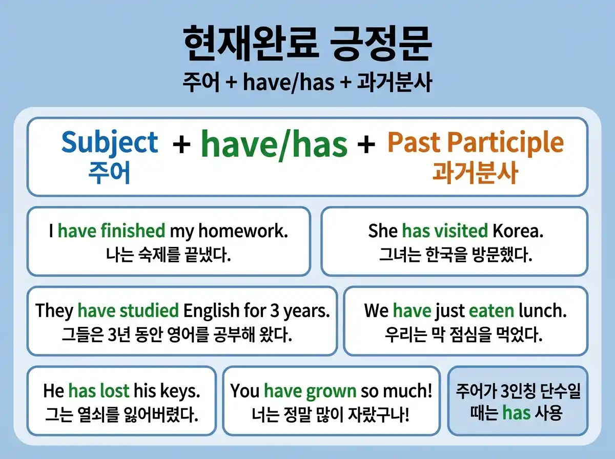 현재완료 긍정문 - Subject + have/has + Past Participle