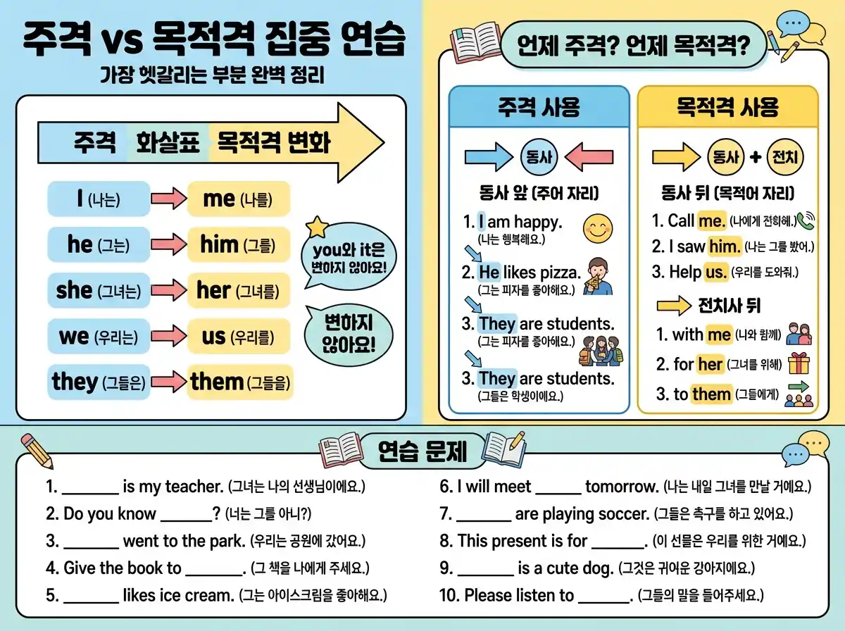 주격 vs 목적격 집중 연습 — 가장 헷갈리는 부분 완벽 정리