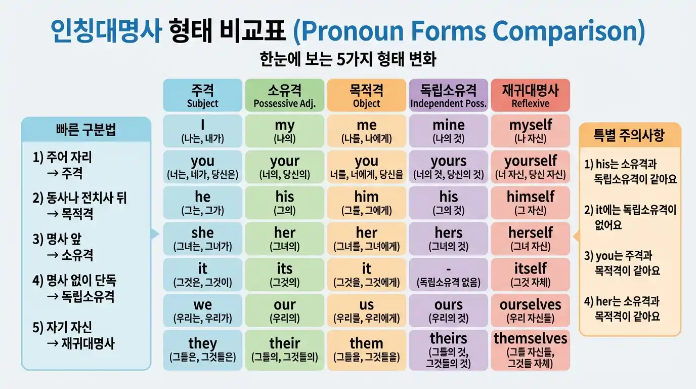 인칭대명사 형태 비교표 — 한눈에 보는 5가지 형태 변화