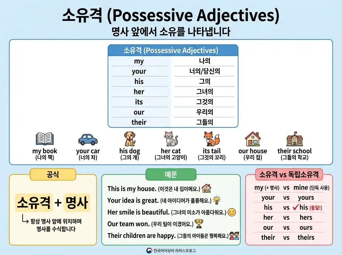 소유격 (Possessive Adjectives) — 명사 앞에서 소유를 나타냅니다