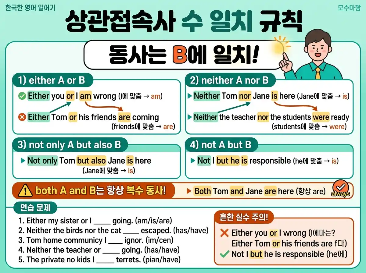 상관접속사 수 일치 규칙 — 동사는 B에 일치! either/neither/not only/not A but B 수 일치 연습