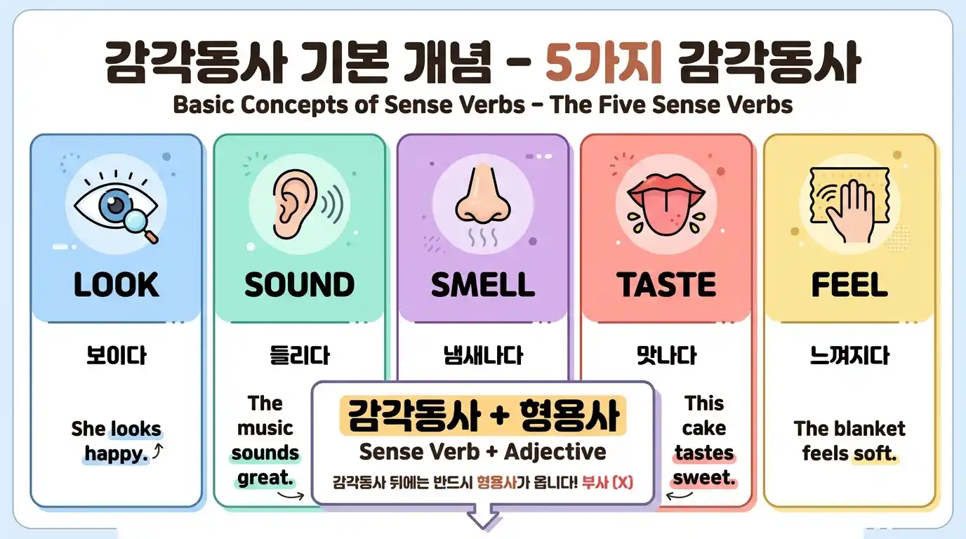 감각동사 기본 개념 - 5가지 감각동사