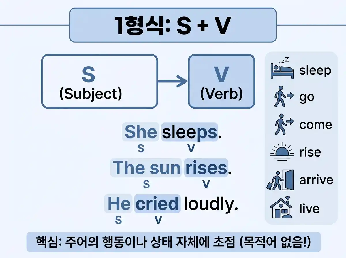 1형식 S+V 인포그래픽