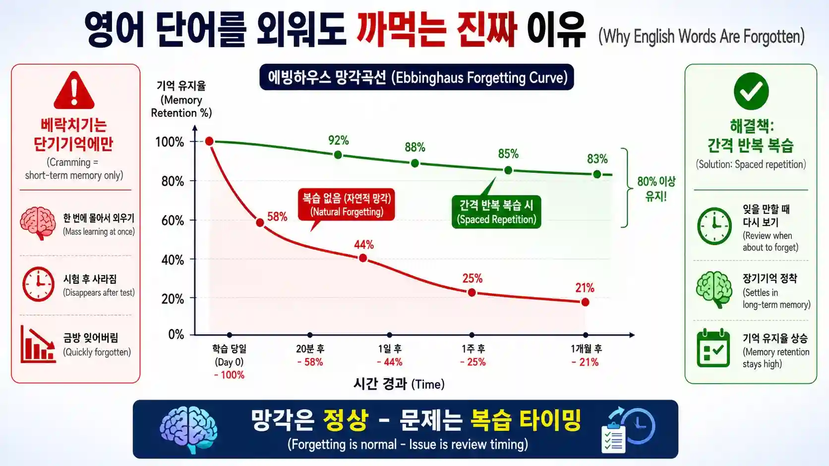 에빙하우스 망각곡선 — 영어 단어를 까먹는 이유