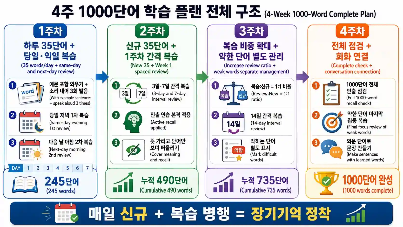 영어 단어 4주 1000단어 학습 플랜 인포그래픽
