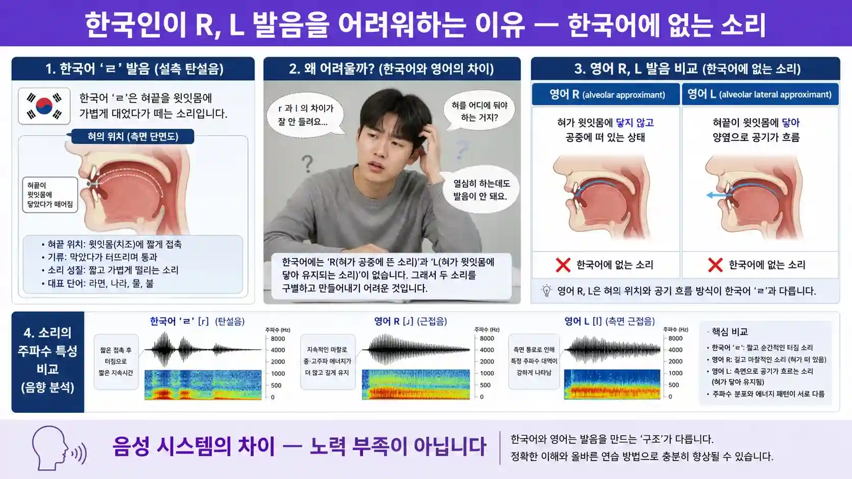 한국어 ㄹ 음성 시스템과 영어 R L 발음 음성 시스템 차이 비교 일러스트