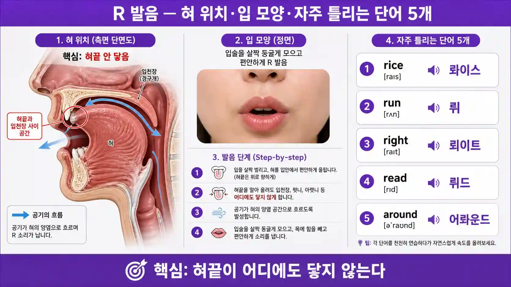 영어 R 발음 정확한 혀 위치 — 혀끝이 입천장 가운데 말려 올라가 어디에도 닿지 않는 입 모양 일러스트