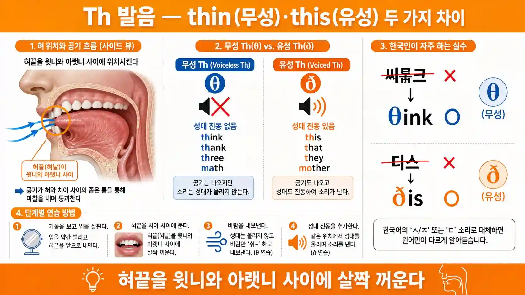 영어 Th 발음 정확한 혀 위치 — 혀끝을 윗니와 아랫니 사이에 끼우는 무성 Th think와 유성 Th this 두 가지
