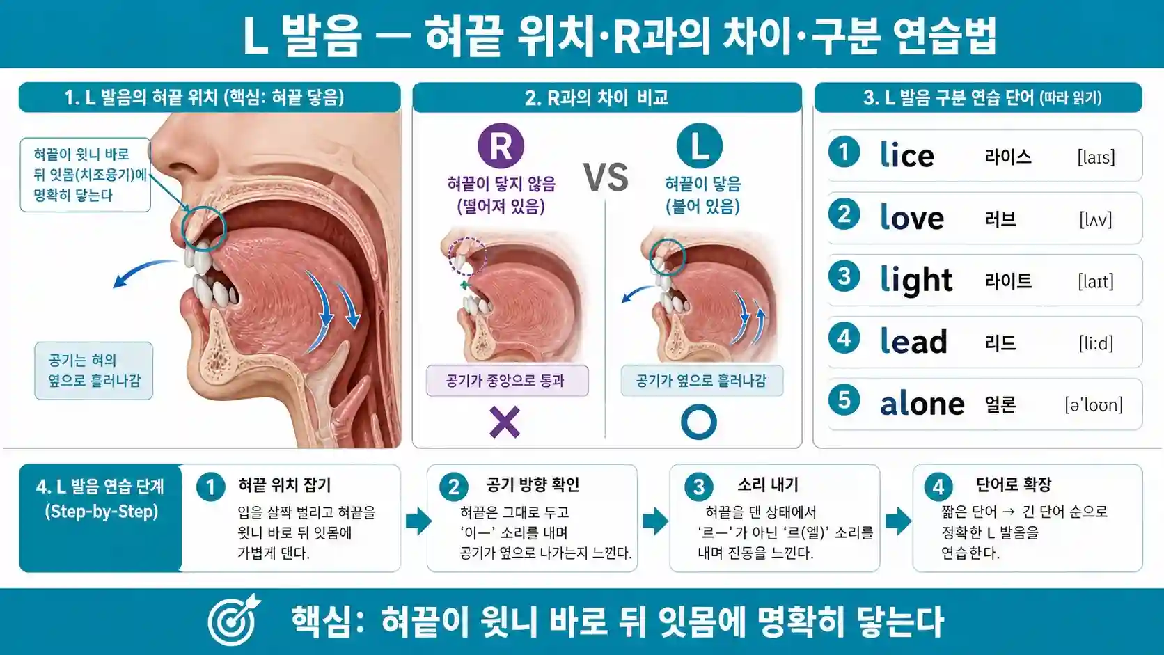 영어 L 발음 정확한 혀끝 위치 — 혀끝이 윗니 바로 뒤 잇몸에 명확히 닿는 입 모양 일러스트