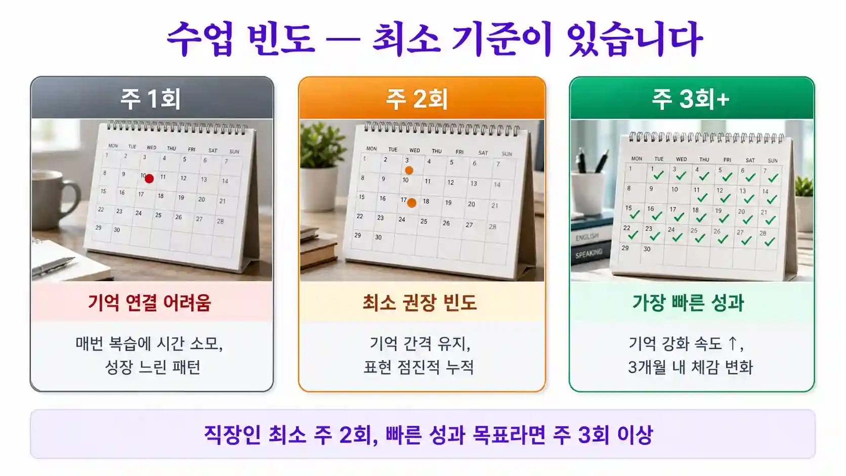 원어민영어회화 주 수업 빈도별 실력 향상 속도 비교 인포그래픽